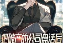 哪里可以免费找到把破产的公司盘活后,顺便震惊全球?-有书评