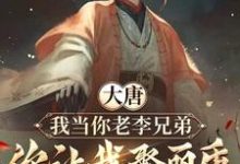 大唐:我当你老李兄弟,你让我娶丽质小说的无弹窗阅读体验,寻找免费阅读网站-有书评