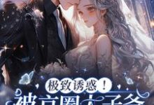 宋诗予段斯昀完整版《极致诱惑!被京圈太子爷追要名分》小说免费阅读-有书评
