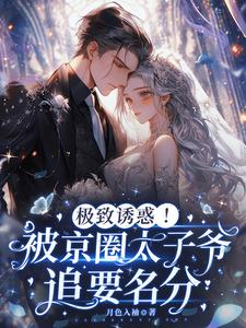 宋诗予段斯昀完整版《极致诱惑！被京圈太子爷追要名分》小说免费阅读