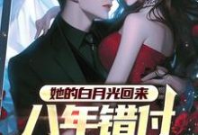 韩成完整版小说免费阅读-有书评