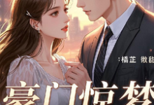 豪门惊梦:孤独症总裁的救赎之恋小说有没有完结版在线?-有书评