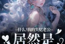 什么?我的失忆老公居然是东海龙王李阿曼在线章节免费阅读-有书评