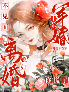军婚十年不见面，媳妇离婚你慌了免费阅读，军婚十年不见面，媳妇离婚你慌了章节目录
