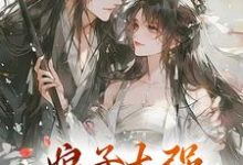 金满银完整版《娘子太强，我不想努力了》小说免费阅读-有书评