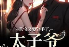 乖宝又要分手了，太子爷求贴贴小说完结版章节免费阅读-有书评