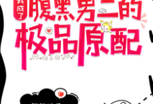 《穿书:我成了腹黑男二的极品原配》小说免费阅读完整版-有书评
