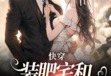 完结版《快穿：装肥宅和男主网恋后》在线免费阅读-有书评