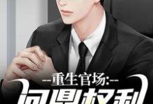 完整版的重生官场：问鼎权利之巅小说在哪里可以免费读到？-有书评