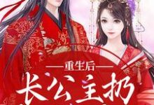 重生后，长公主扔掉了恋爱脑小说的无弹窗阅读体验，寻找免费阅读网站-有书评