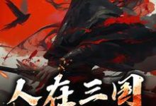 在线寻找人在三国，一统江山小说的无删减版本-有书评