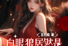 完结版《穿越八零：白眼狼居然是我养姐》章节目录在线阅读-有书评