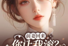 完结版《前妻回来，你让我滚？和竹马领证》章节阅读-有书评