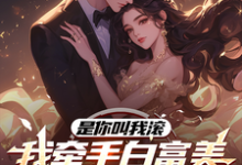 顾铭小说叫什么（是你叫我滚，我牵手白富美你哭啥完整版免费阅读）-有书评