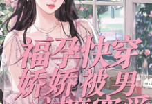 福孕快穿：娇娇被男主过度宠爱小说的免费阅读版本在哪里可以找到？-有书评