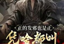 完整版小说《正的发邪也是正，凭啥都叫我魔头》免费阅读-有书评