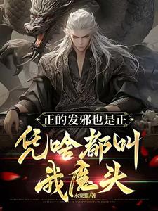 完整版小说《正的发邪也是正，凭啥都叫我魔头》免费阅读