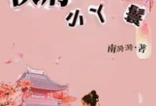 侯府小丫鬟林岁安，侯府小丫鬟完整版最新章节-有书评