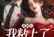 离婚后,我粘上了那位大佬小说的无弹窗阅读体验,寻找免费阅读网站-有书评