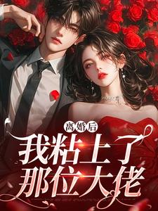 离婚后，我粘上了那位大佬小说的无弹窗阅读体验，寻找免费阅读网站