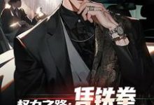 权力之路:凭铁拳,我令黑势力退避小说有没有完整的免费版本在线阅读?-有书评