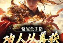 沈舟完整版小说免费阅读-有书评