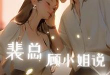 完结版《裴总，顾小姐说不爱了》章节阅读-有书评