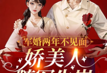 完结版《军婚两年不见面,娇美人随军生崽》在线免费阅读-有书评