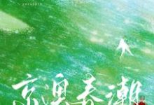 《京澳春潮》完整版小说免费阅读-有书评