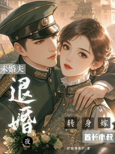 宋依依岑樾小说退婚夜，转身嫁未婚夫首长小叔在线阅读章节