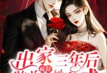 小说《出家三年后，陆总疯狂诱她破戒》章节免费阅读-有书评