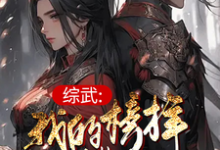 哪里能找到综武：我的榜样叫曹操小说的最新更新和免费章节？-有书评
