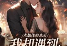 本想体验恋爱，我却遇到坑爹大佬！小说的无弹窗阅读体验，寻找免费阅读网站-有书评