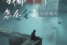 顾阳小说叫什么（我都瘫痪了，怎么会是黑夜屠夫？完整版免费阅读）-有书评