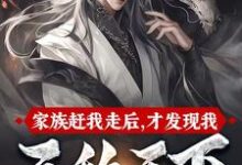 在线寻找家族赶我走后，才发现我无敌天下小说的无删减版本-有书评