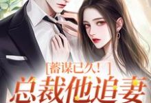 蓄谋已久!总裁他追妻套路为零完整版小说,蓄谋已久!总裁他追妻套路为零最新章节-有书评