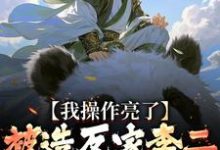 免费看被造反家李二抓住造反?我操作亮了小说的网站有哪些?-有书评