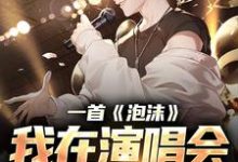 在线免费阅读一首《泡沫》，我在演唱会红过歌星完整小说-有书评