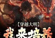 任以虚小说完结版在线阅读，穿越大明：我来培养一代帝王免费看-有书评