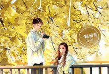 花十万元买彩票中5亿，震惊全网章节免费在线阅读，陈志完结版-有书评