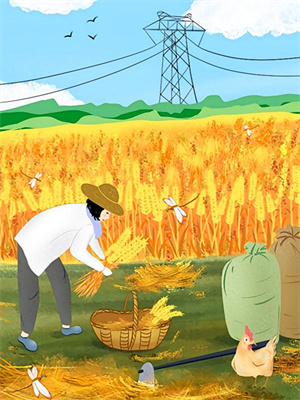 读心：我的夫君他早已有外室小说有没有完整的免费版本在线阅读？