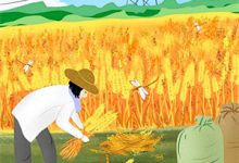 完整版小说《拿捏太子心，我扮柔弱他就认错！》免费阅读-有书评