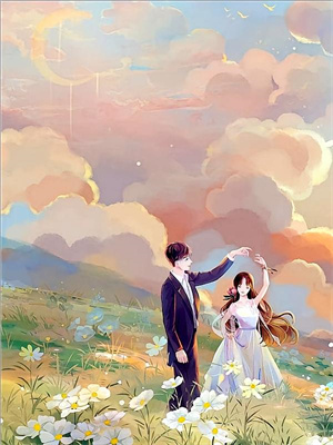 完结版《考公上岸：沈县长请多指教！》在线免费阅读