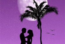 爆！顶流未婚夫空降恋综！小说最新更新在哪里？免费在线看-有书评