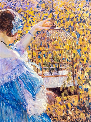 寻找能够免费阅读心似已灰之木小说的平台