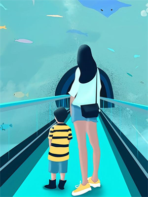 星垂梦枕渡清宵沈挽情顾宴霆小说免费阅读