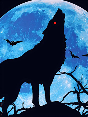 寻找难逢经年爱意小说的最新更新章节