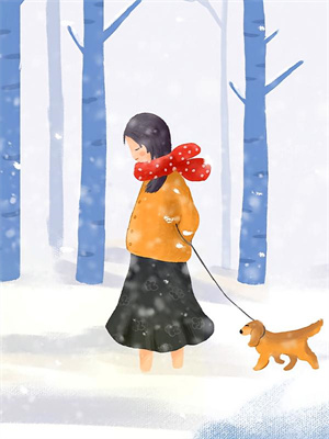 求南风卷尽长安雪小说免费资源