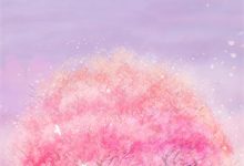 烟花易冷，爱意迟燃小说完结版章节免费阅读-有书评