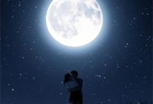 我摘星辰缀她衣(徐清窈裴司鹤)在线免费阅读-有书评